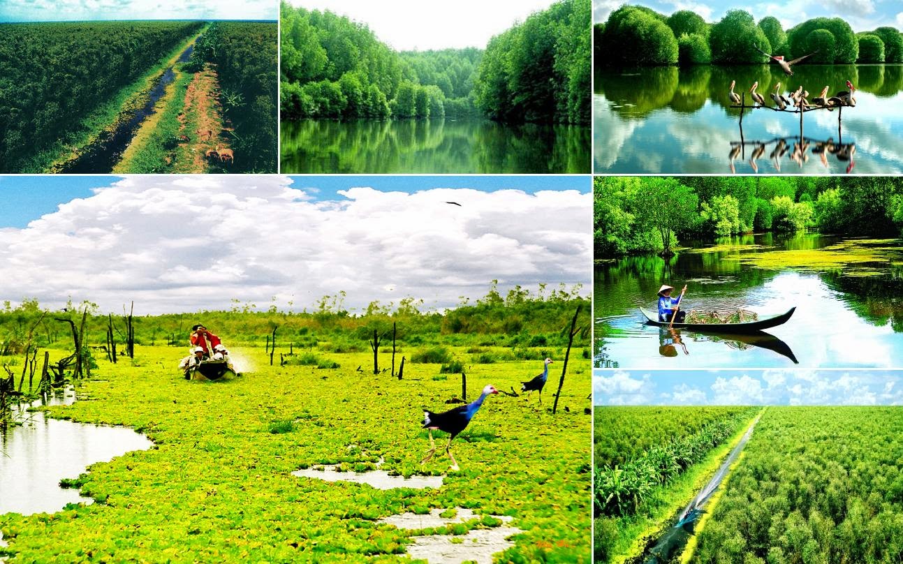 Nhiều[-]bất[-]cập[-]trong[-]triển[-]khai[-]dự[-]án[-]Khu[-]bảo[-]tồn[-]loài[-]-[-]sinh[-]cảnh[-]Phú[-]Mỹ
